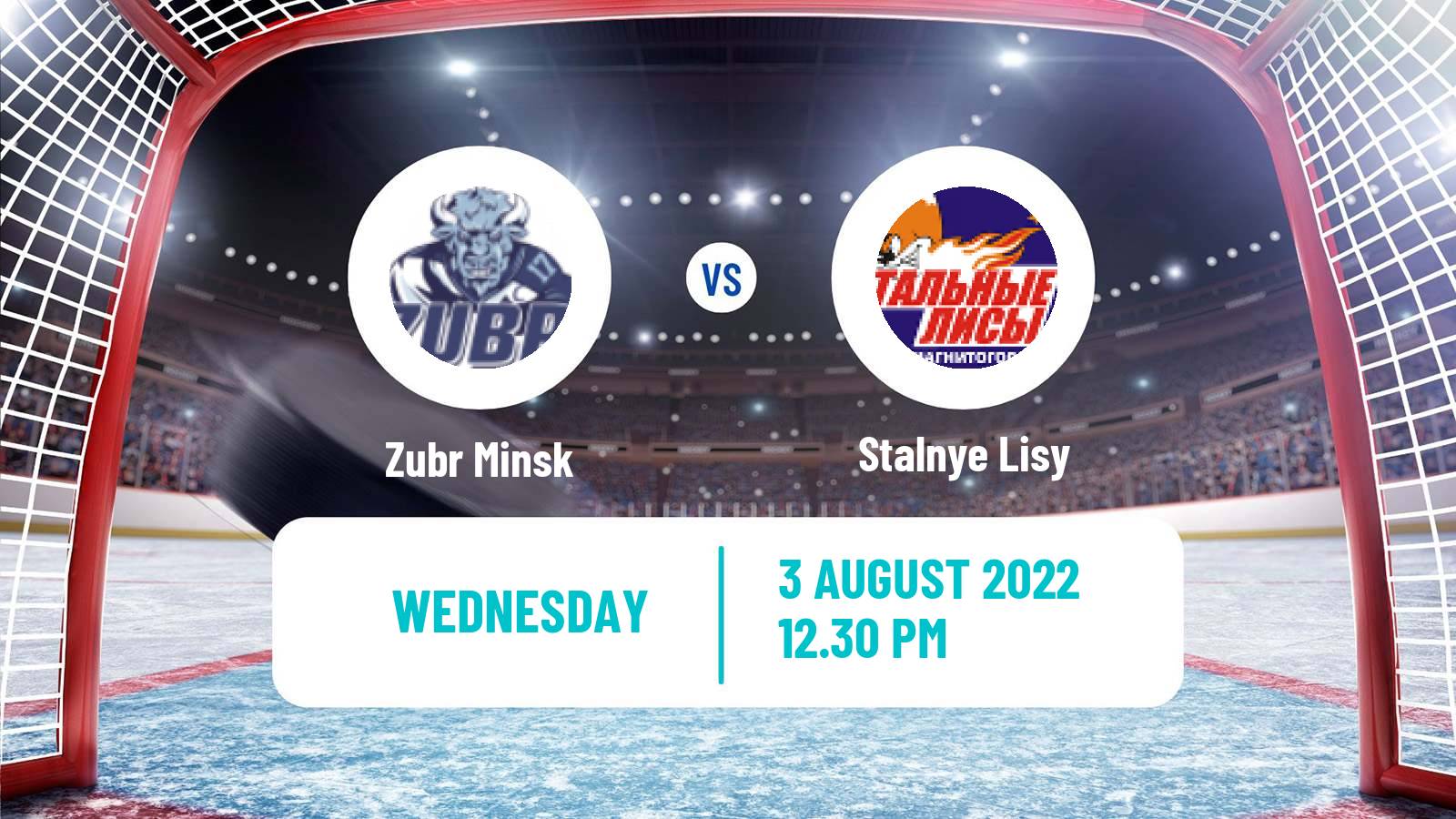 Hockey Club Friendly Ice Hockey Zubr Minsk - Stalnye Lisy