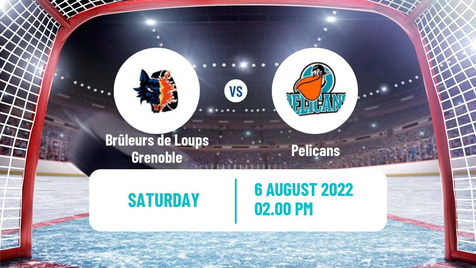 Hockey Club Friendly Ice Hockey Brûleurs de Loups Grenoble - Pelicans