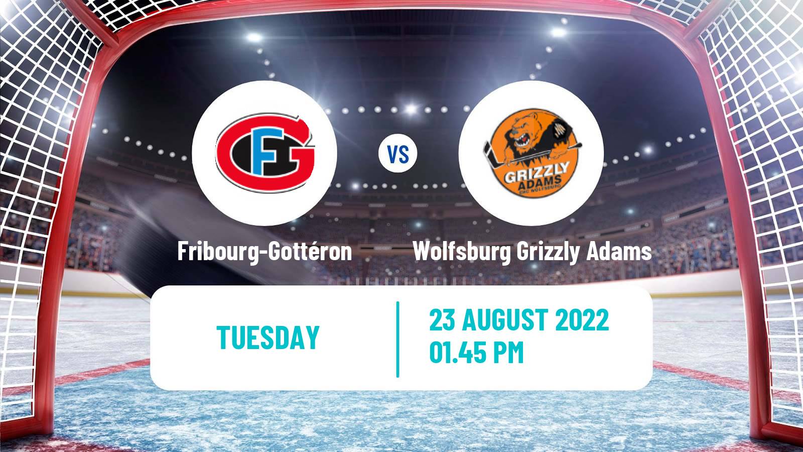 Hockey Club Friendly Ice Hockey Fribourg-Gottéron - Wolfsburg Grizzly Adams