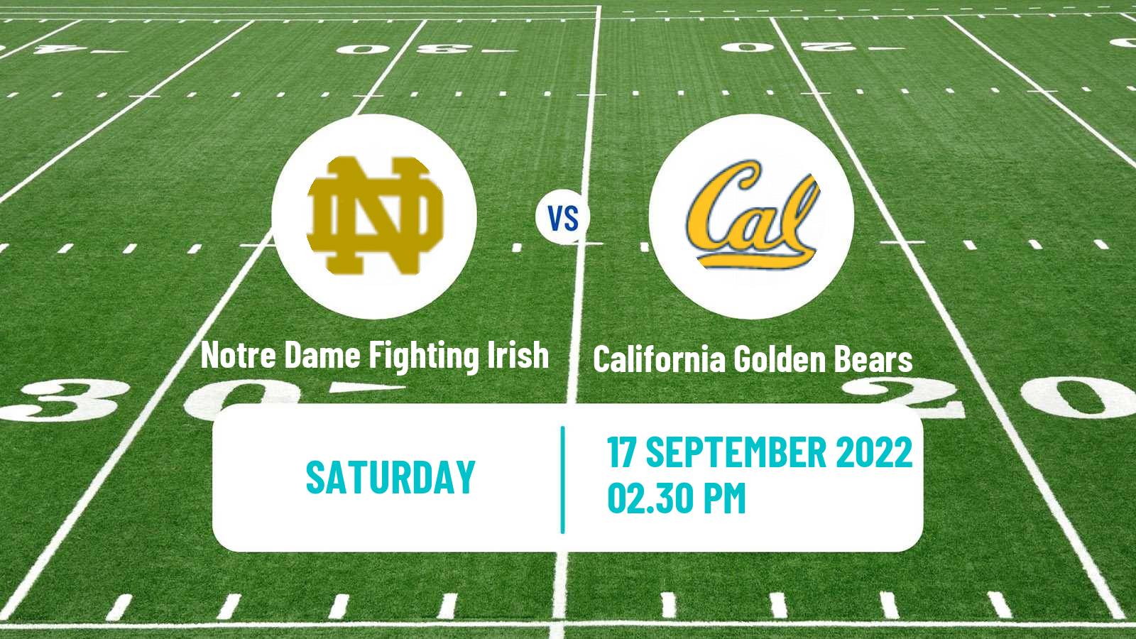 American football NCAA College Football Notre Dame Fighting Irish - California Golden Bears