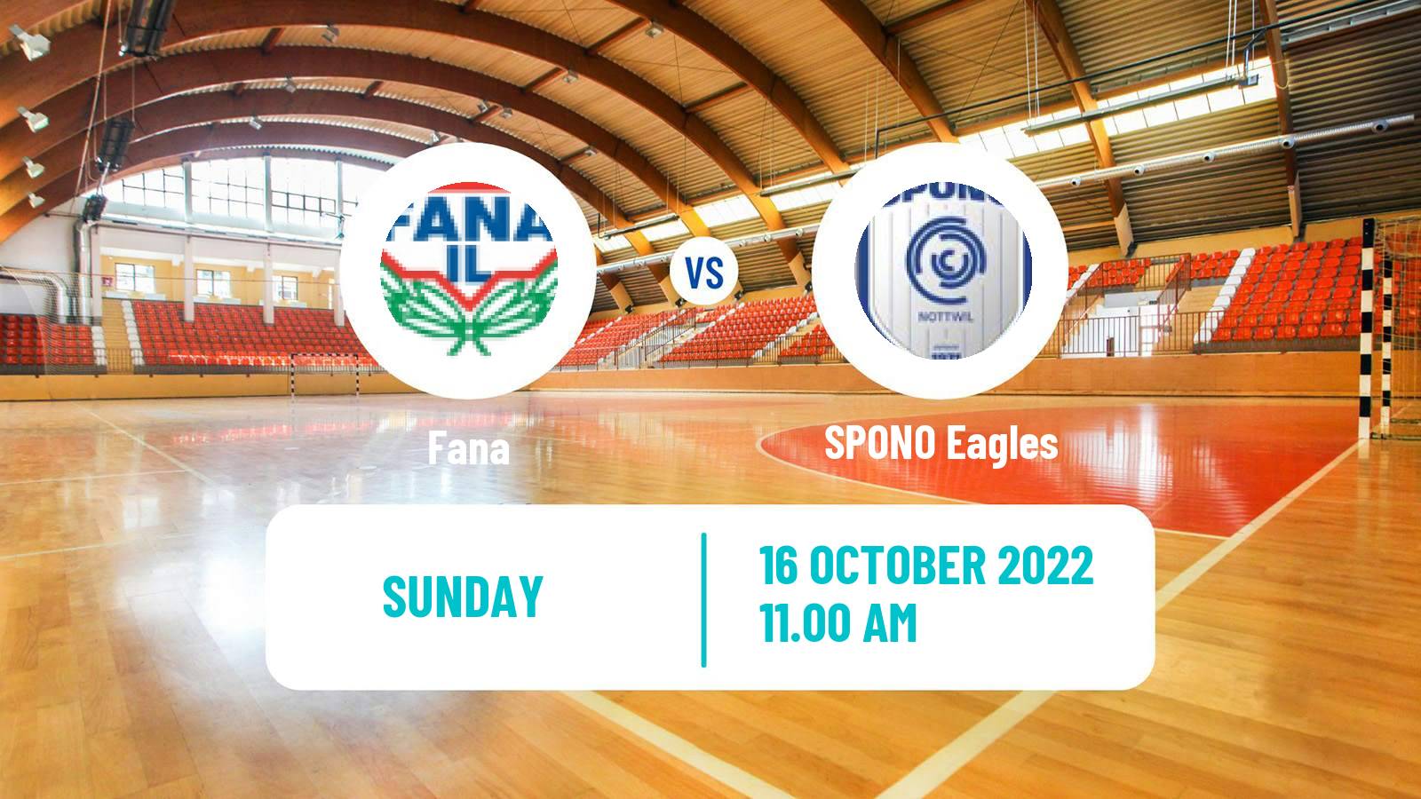 Handball EHF European League Women Fana - SPONO Eagles