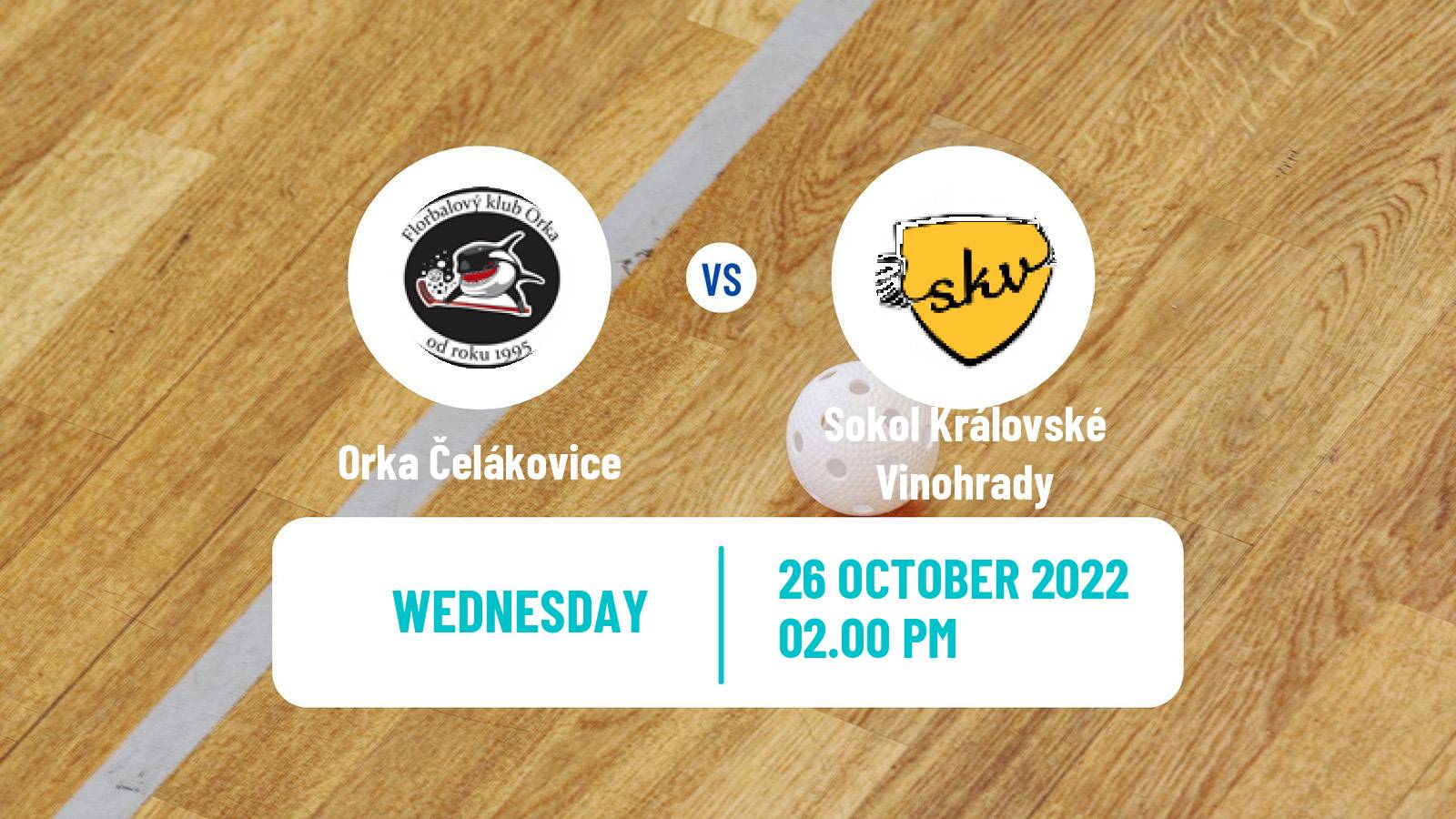 Floorball Czech Cup Floorball Orka Stará Boleslav - Sokol Královské Vinohrady