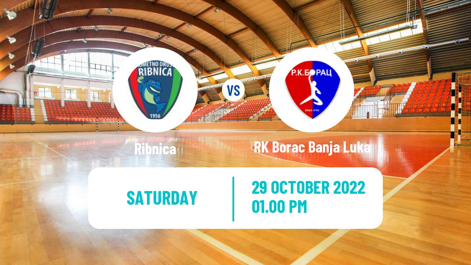Handball EHF European Cup Ribnica - RK Borac Banja Luka