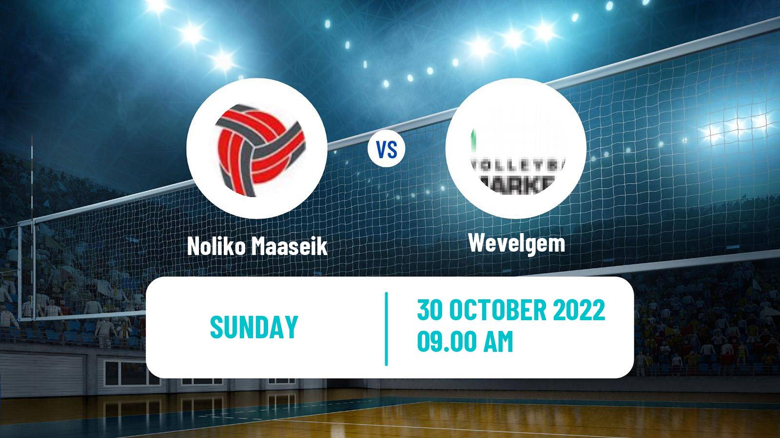 Volleyball Belgian Cup Volleyball Noliko Maaseik - Wevelgem