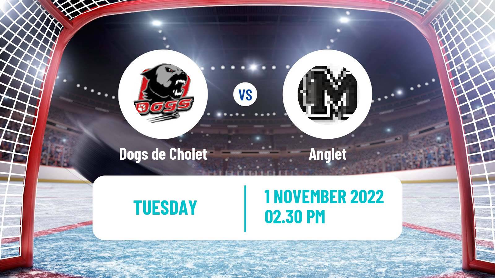 Hockey French Hockey Cup Dogs de Cholet - Anglet