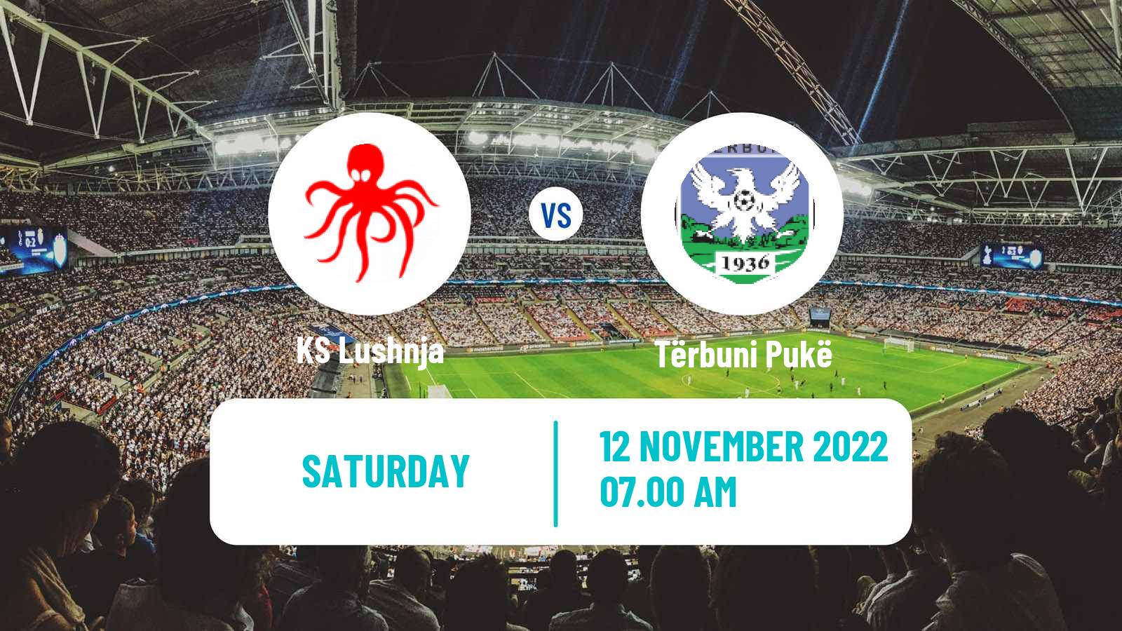 Soccer Albanian First Division Lushnja - Tërbuni Pukë