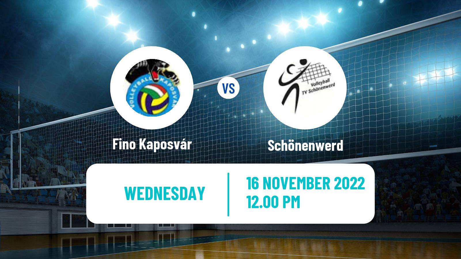 Volleyball CEV Cup Fino Kaposvár - Schönenwerd