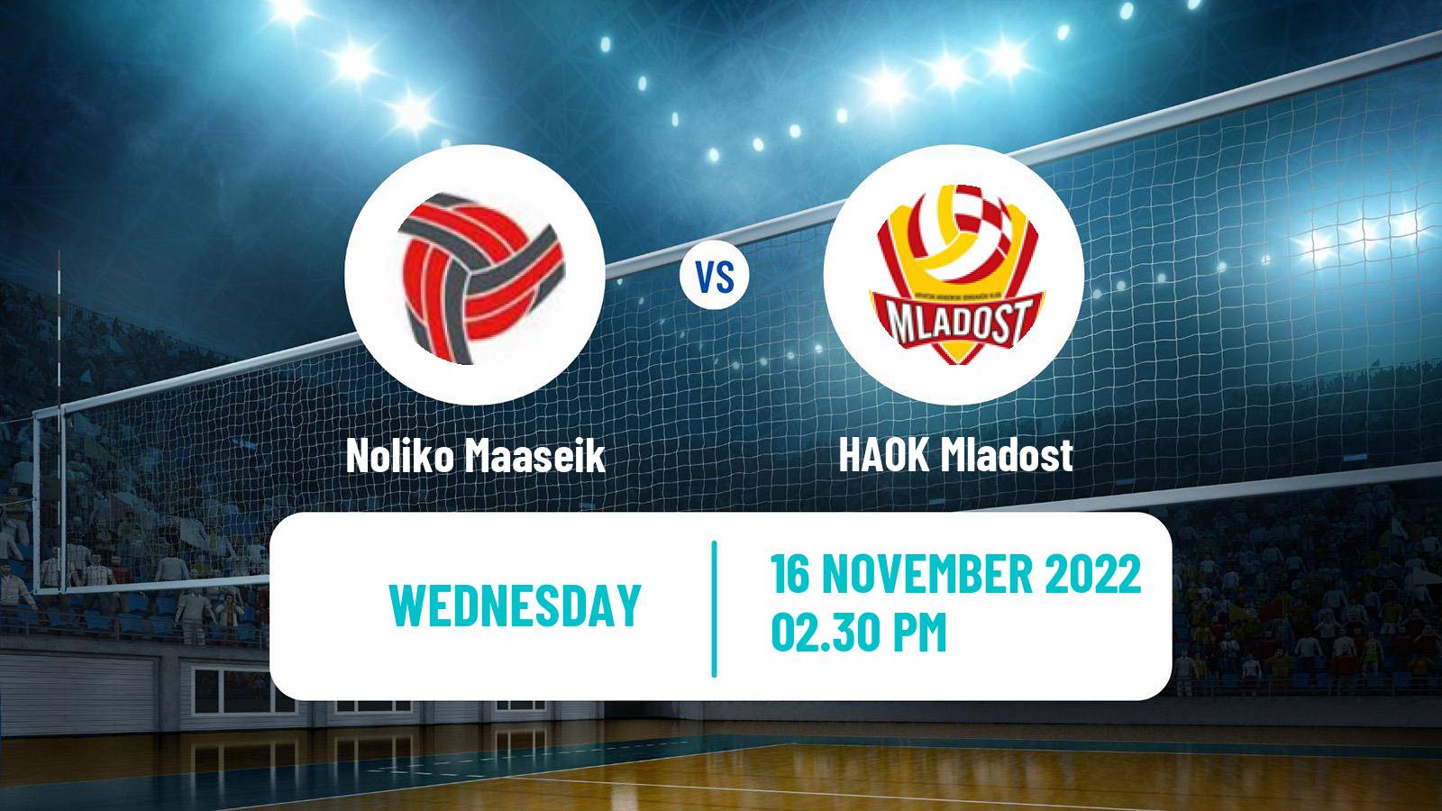 Volleyball CEV Cup Noliko Maaseik - HAOK Mladost