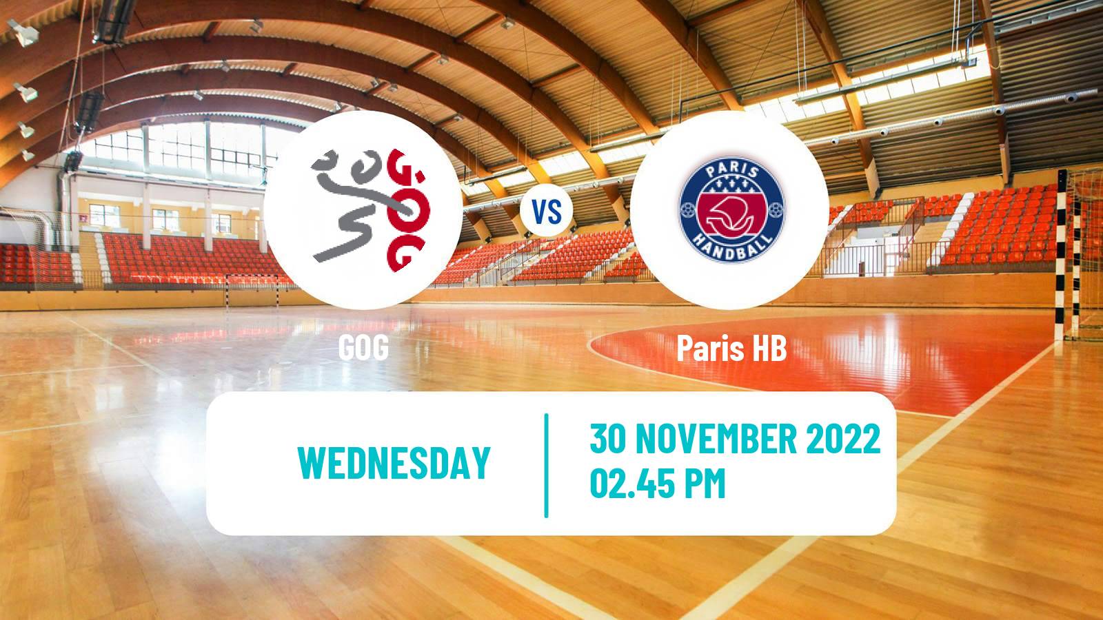 Handball EHF Champions League GOG - Paris