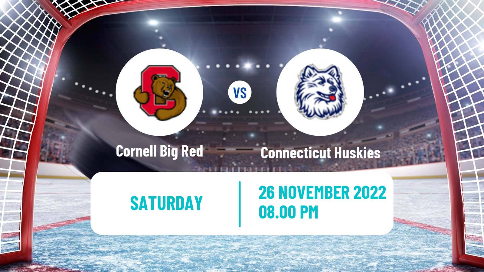 Hockey NCAA Hockey Cornell Big Red - Connecticut Huskies