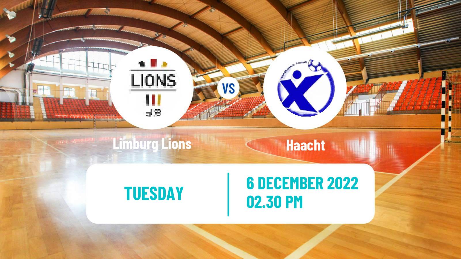 Handball BeNe League Handball Limburg Lions - Haacht