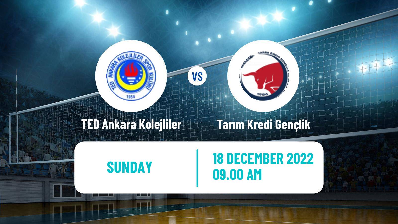 Volleyball Turkish 1 Ligi Volleyball TED Ankara Kolejliler - Tarım Kredi Gençlik