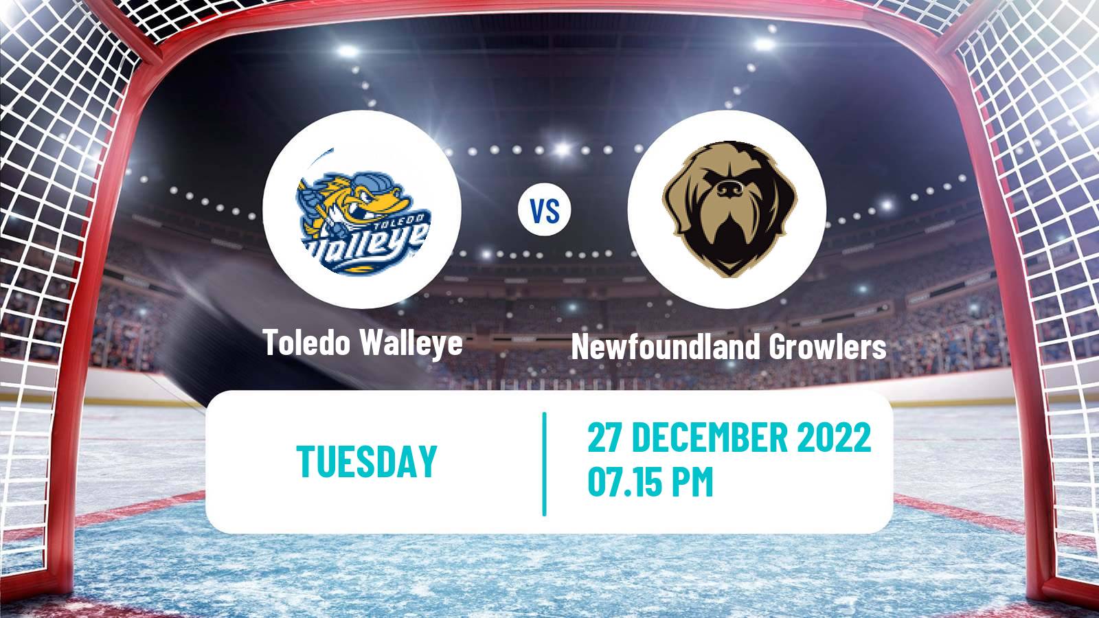 Hockey ECHL Toledo Walleye - Newfoundland Growlers