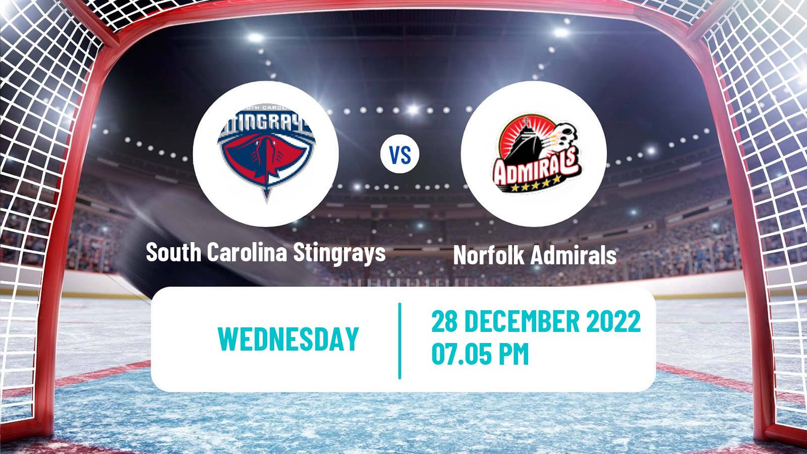 Hockey ECHL South Carolina Stingrays - Norfolk Admirals