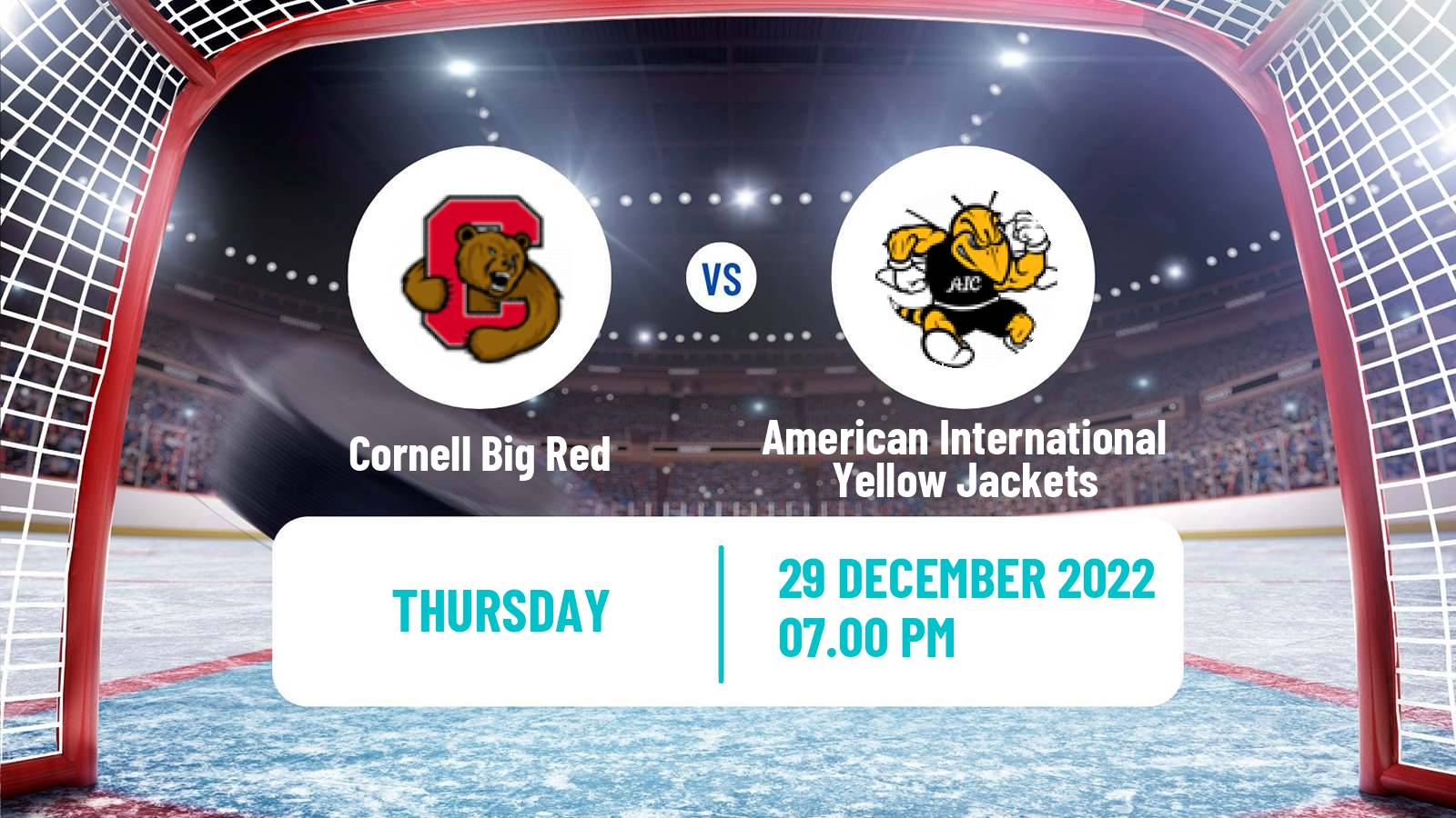 Hockey NCAA Hockey Cornell Big Red - American International Yellow Jackets