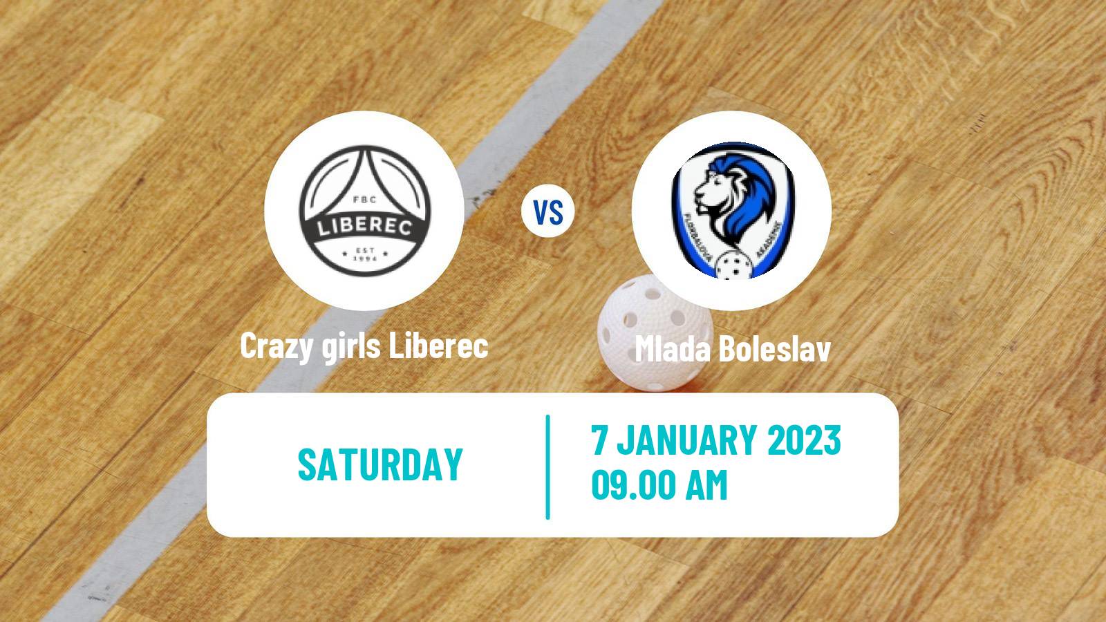 Floorball Czech Extraliga Floorball Women Crazy girls Liberec - Mlada Boleslav