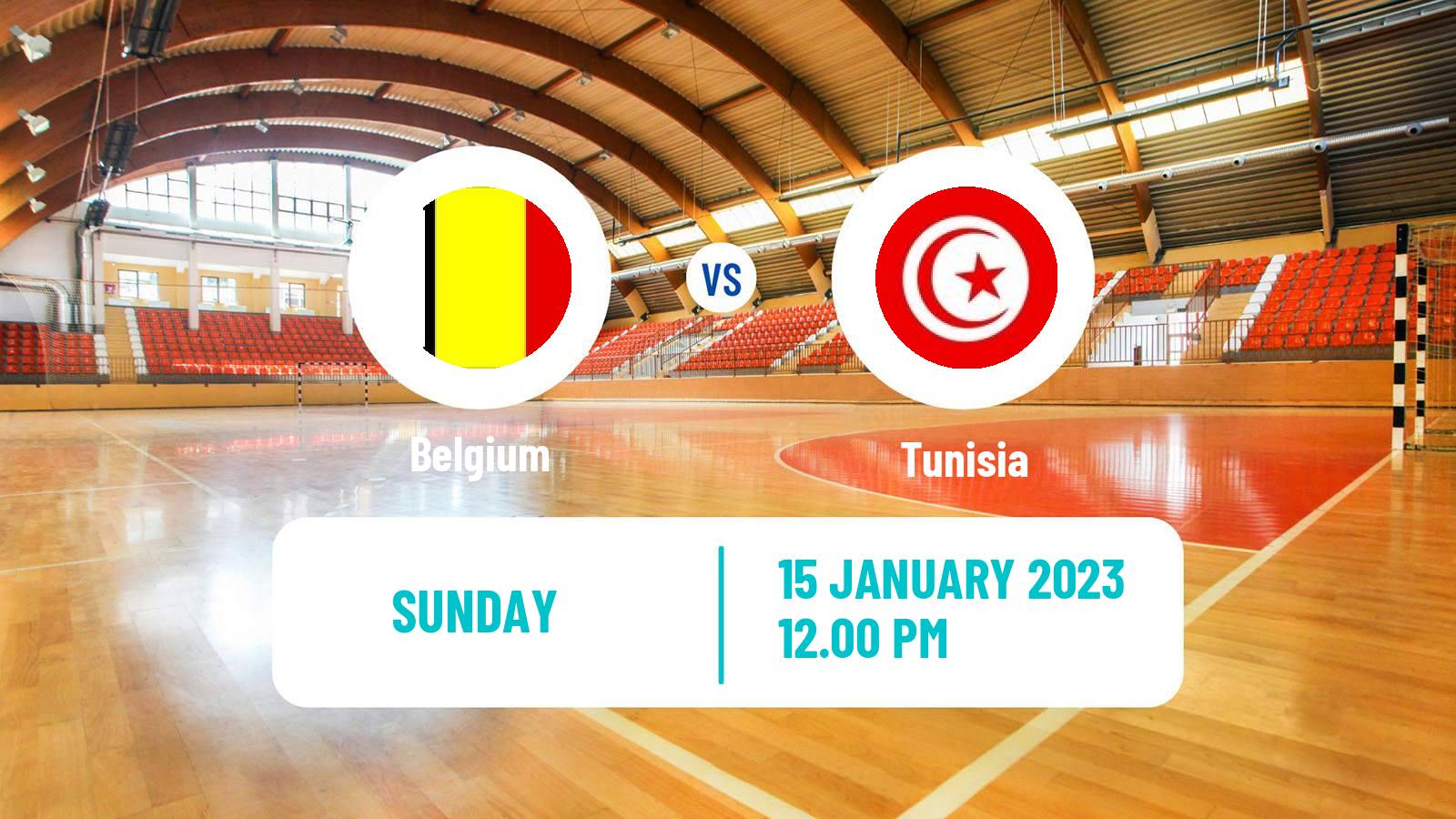 Handball Handball World Championship Belgium - Tunisia