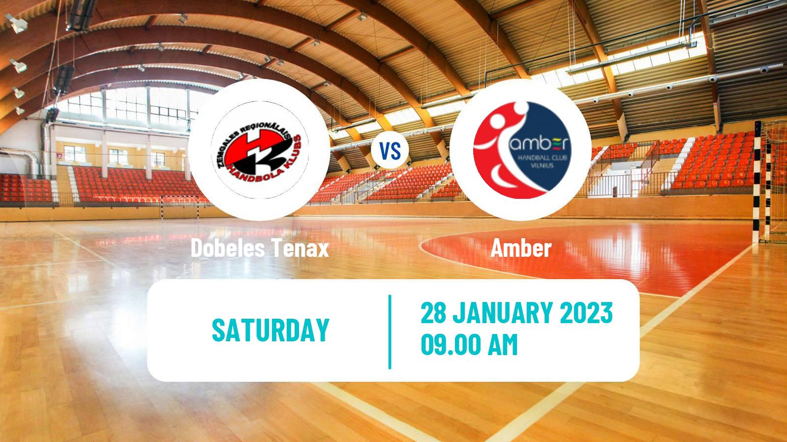 Handball Baltic League Handball Dobeles Tenax - Amber