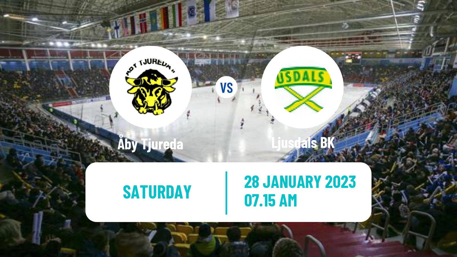 Bandy Swedish Allsvenskan Bandy Åby Tjureda - Ljusdal