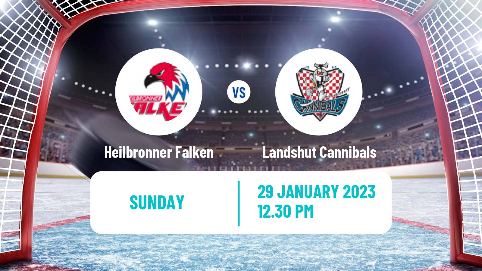 Hockey German DEL2 Heilbronner Falken - Landshut Cannibals