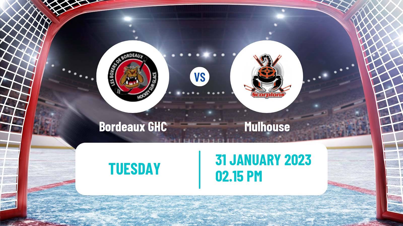 Hockey French Ligue Magnus Bordeaux - Mulhouse