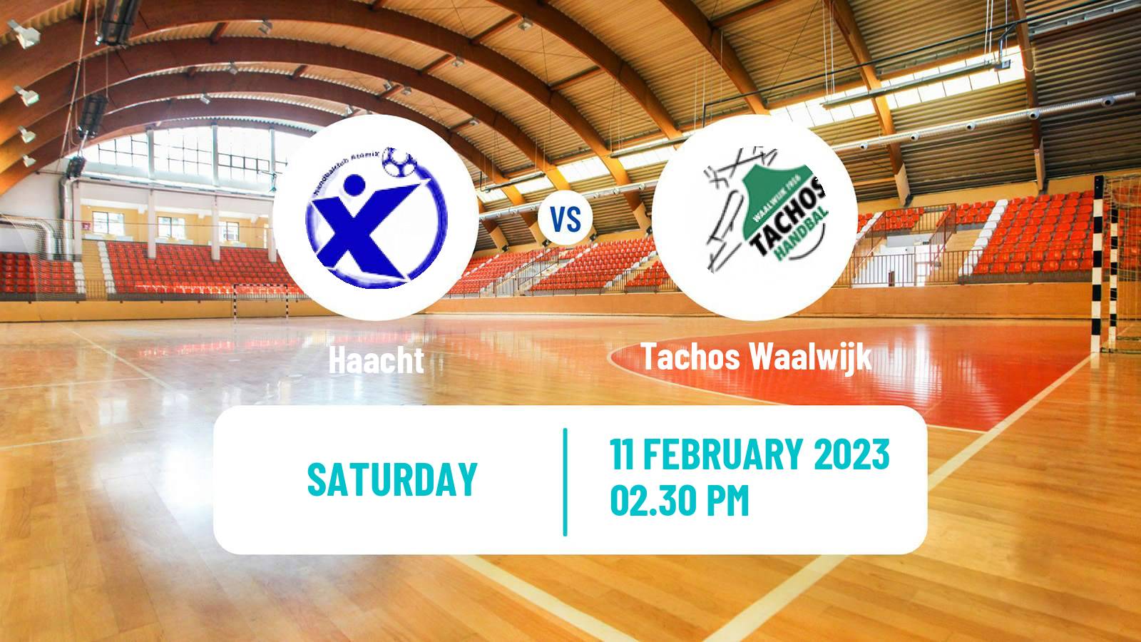 Handball BeNe League Handball Haacht - Tachos Waalwijk