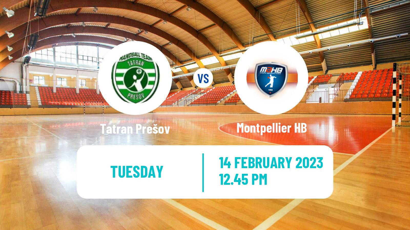 Handball EHF European League Tatran Prešov - Montpellier HB