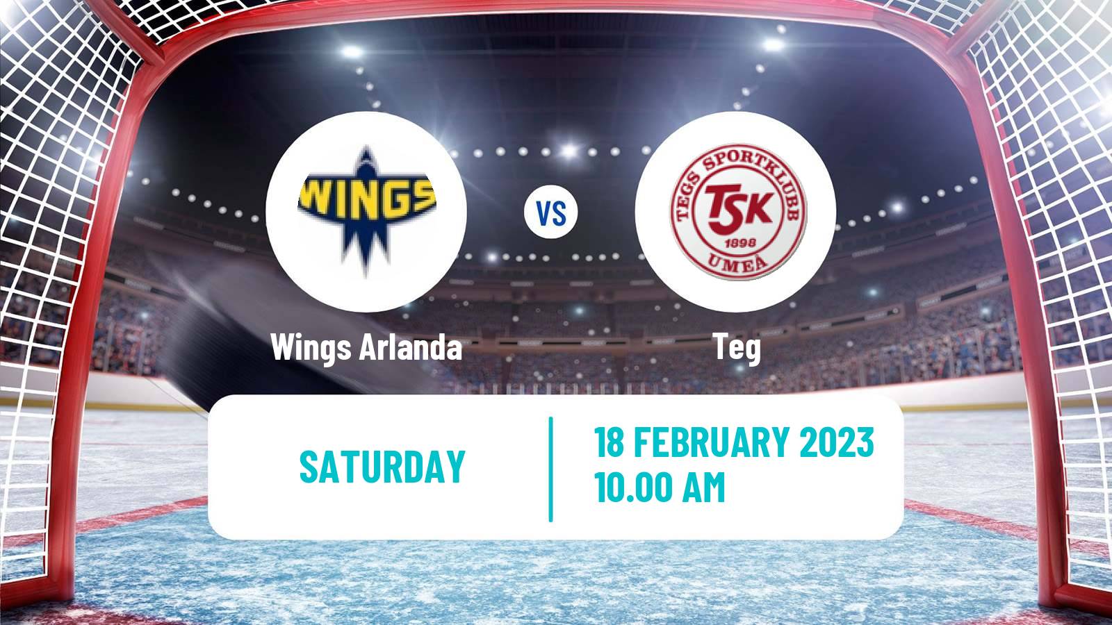 Hockey Swedish HockeyEttan Norra Var Wings Arlanda - Teg