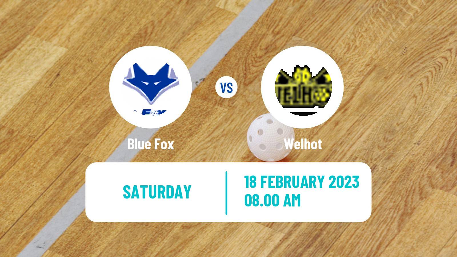 Floorball Finnish F-Liiga Women Blue Fox - Welhot