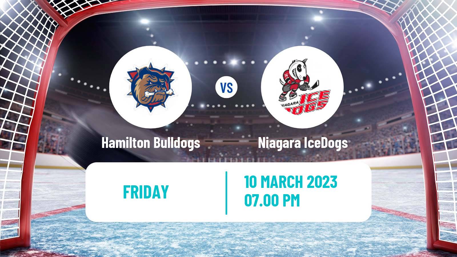 Hockey OHL Hamilton Bulldogs - Niagara IceDogs