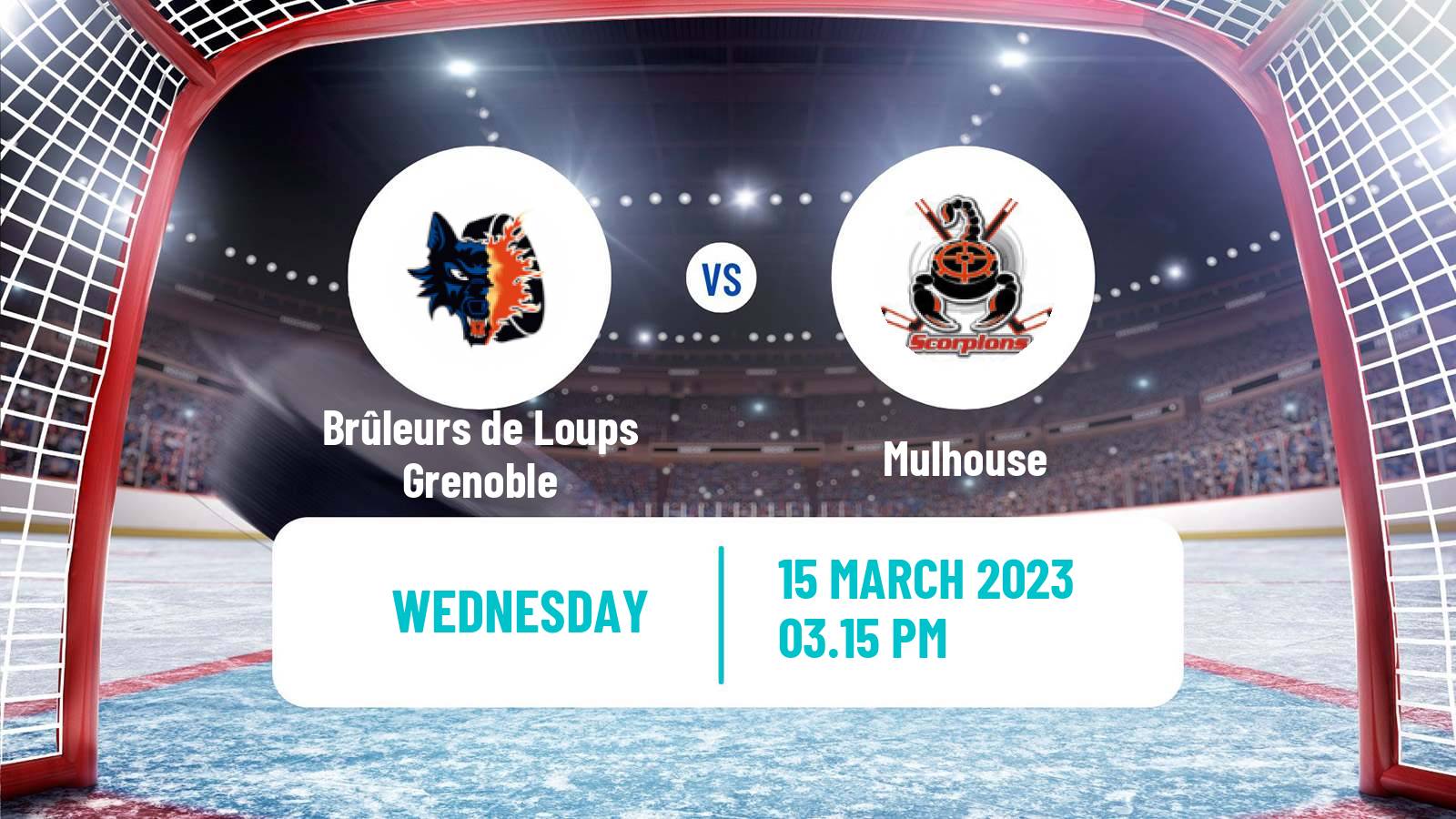 Hockey French Ligue Magnus Brûleurs de Loups Grenoble - Mulhouse