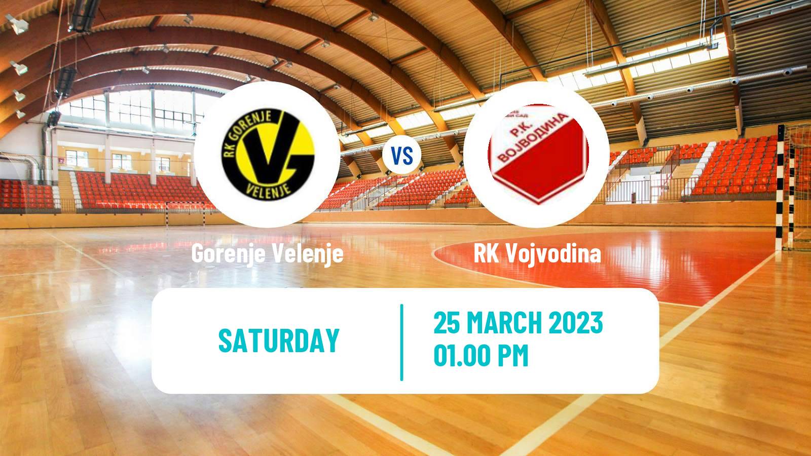 Handball EHF European Cup Gorenje Velenje - RK Vojvodina