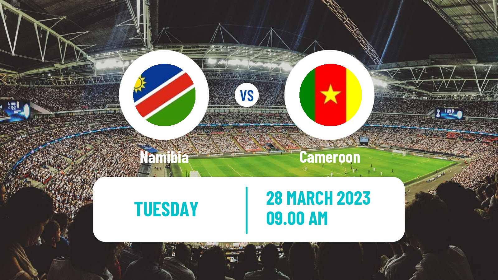 Soccer Africa Cup of Nations Namibia - Cameroon