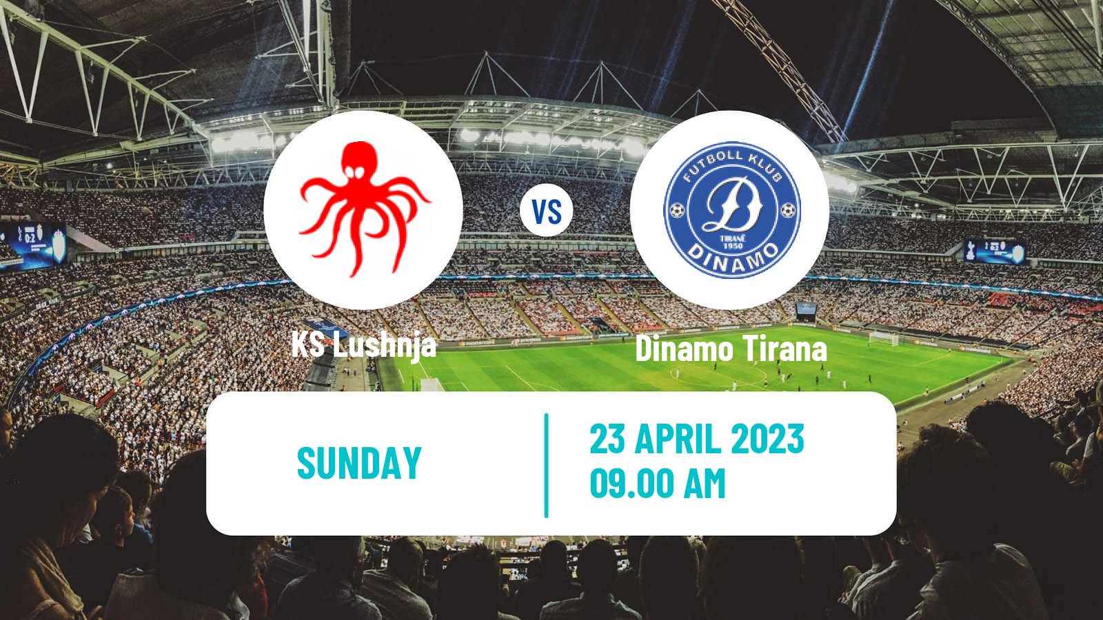 Soccer Albanian First Division Lushnja - Dinamo Tirana