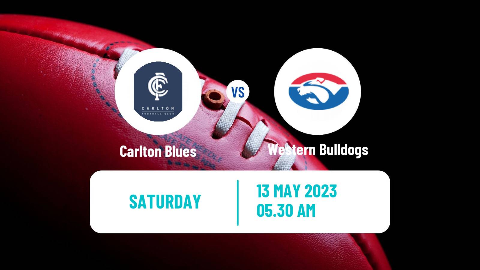 Aussie rules AFL Carlton Blues - Western Bulldogs