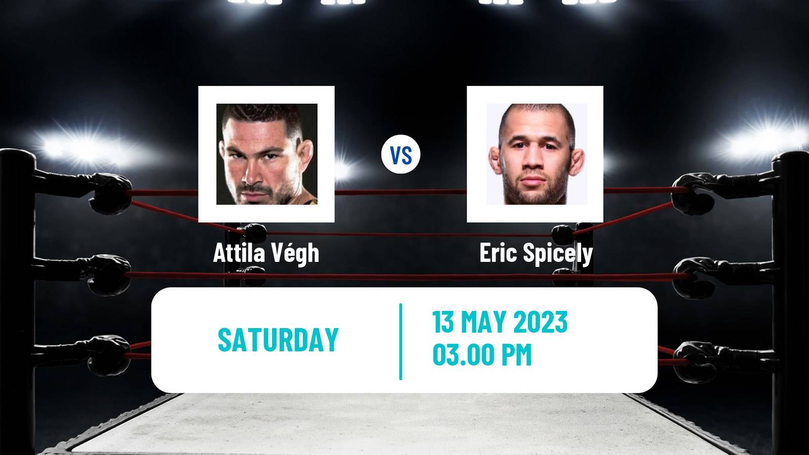 Boxing Boxing Attila Végh - Eric Spicely