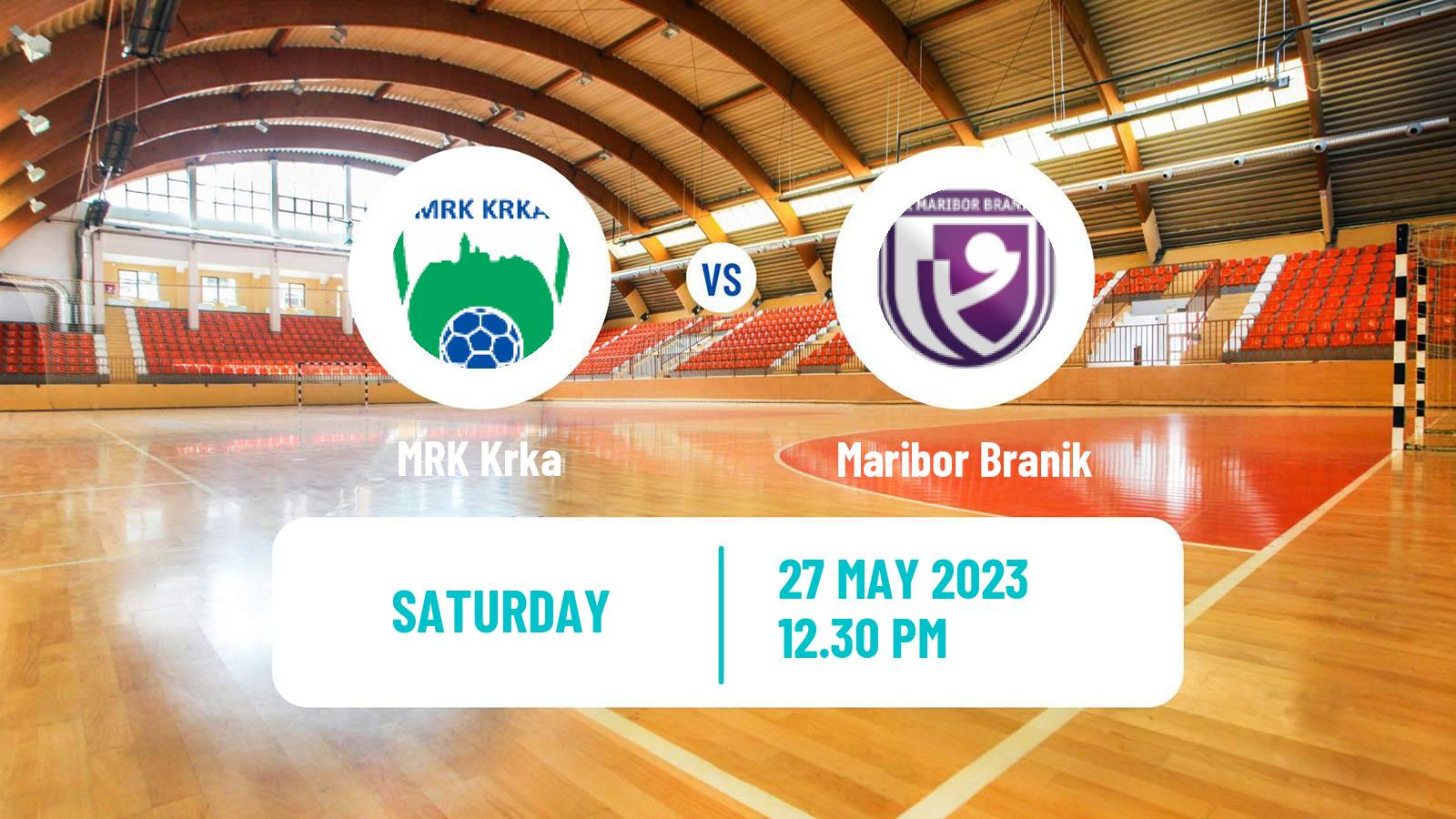 Handball Slovenian 1 NLB Liga Handball Krka - Maribor Branik