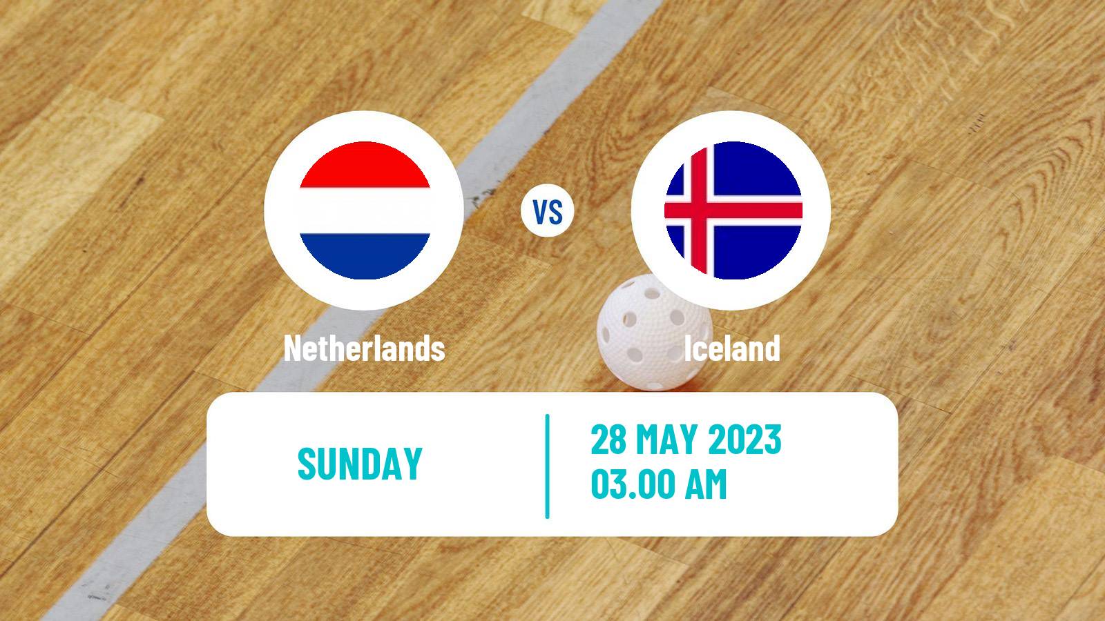 Floorball Friendly International Floorball Netherlands - Iceland