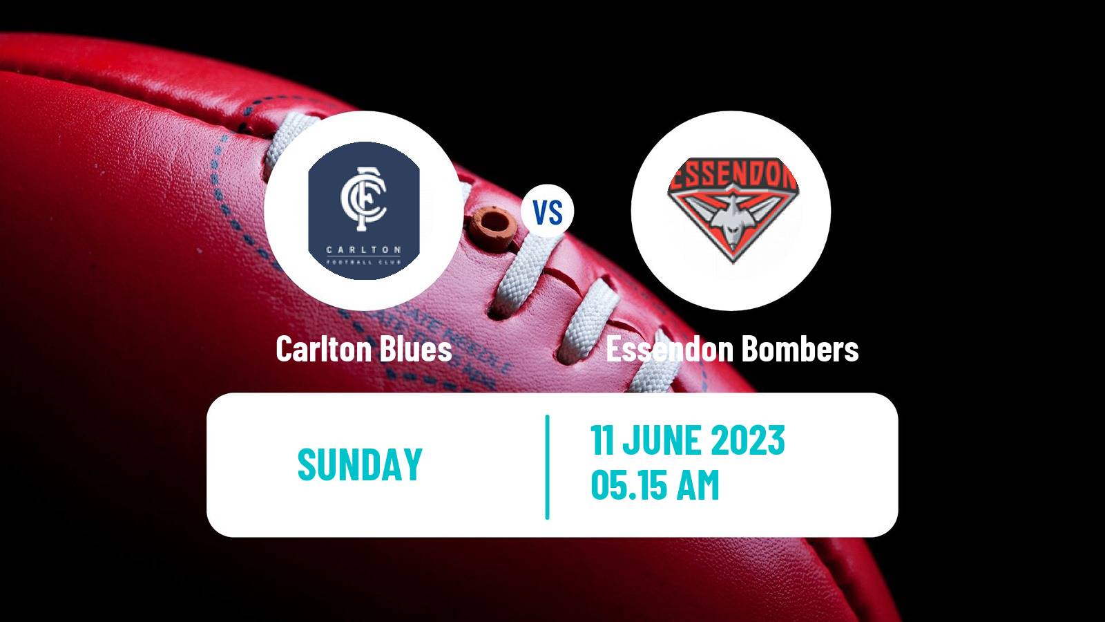 Aussie rules AFL Carlton Blues - Essendon Bombers