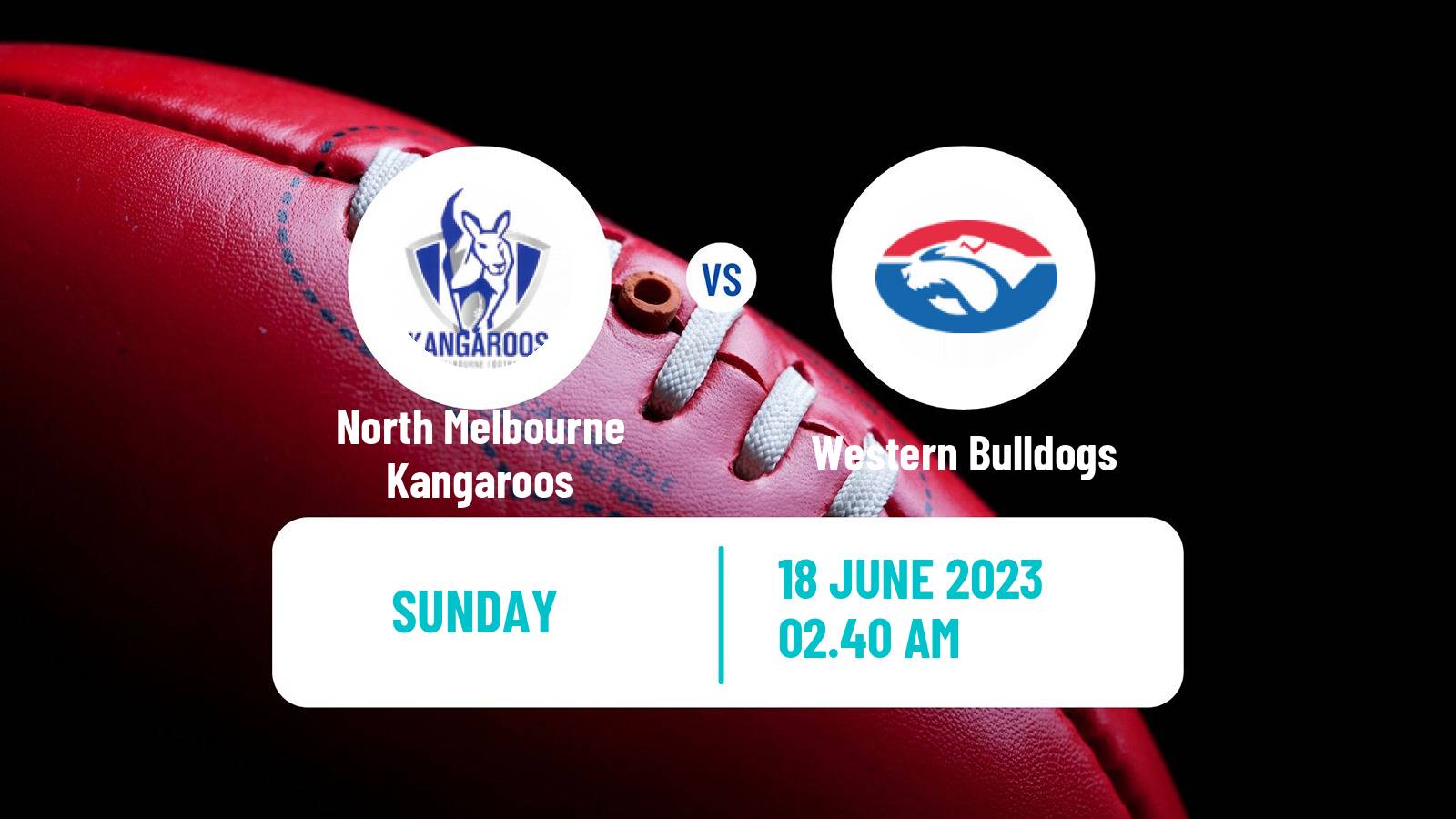 Aussie rules AFL North Melbourne Kangaroos - Western Bulldogs