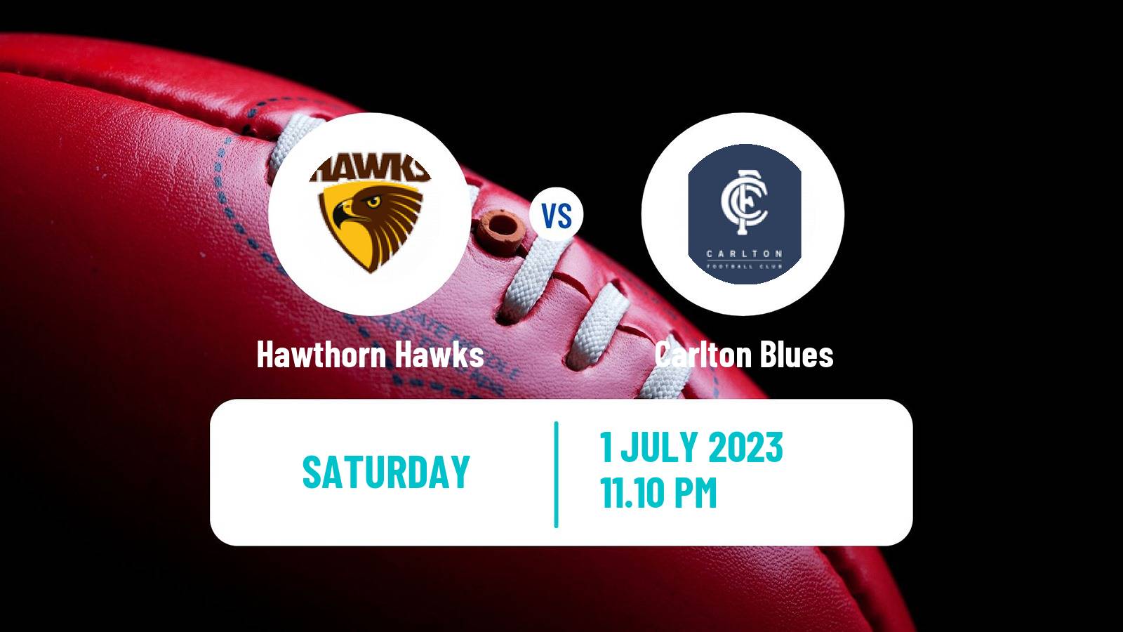 Aussie rules AFL Hawthorn Hawks - Carlton Blues