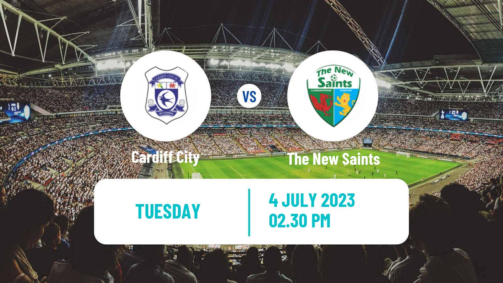 Soccer Club Friendly Cardiff City - The New Saints