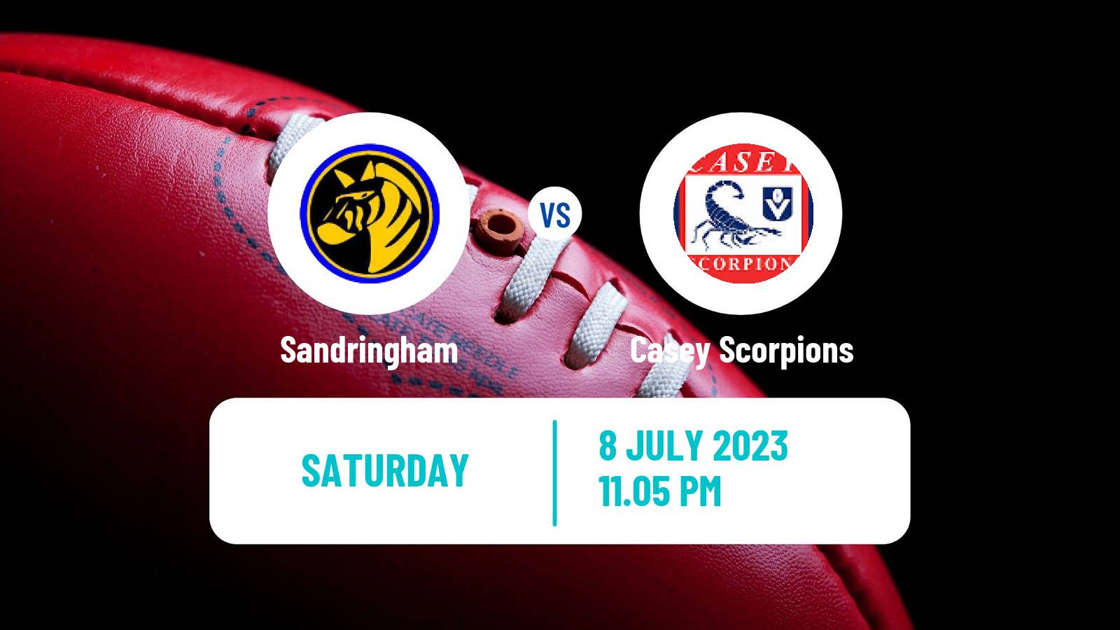 Aussie rules VFL Sandringham - Casey Scorpions
