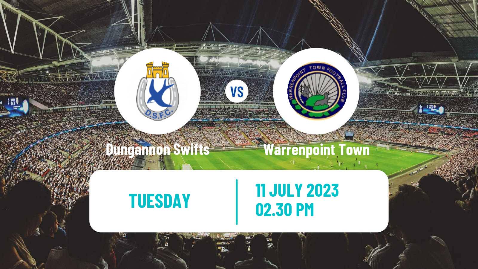 Soccer Club Friendly Dungannon Swifts - Warrenpoint Town