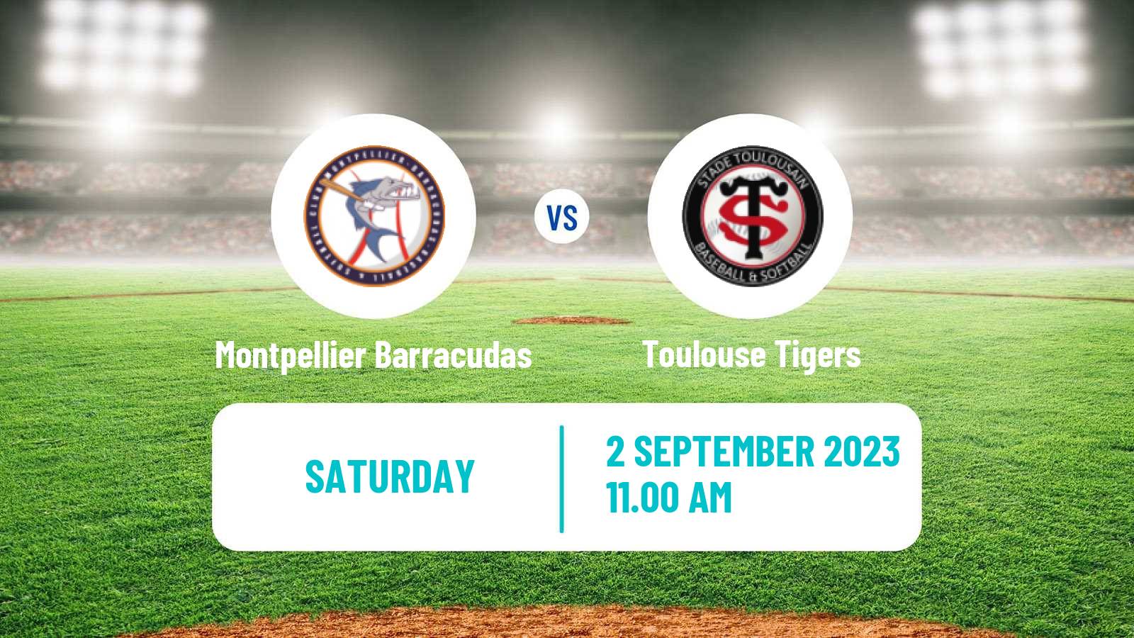 Baseball French Division 1 Baseball Montpellier Barracudas - Toulouse Tigers