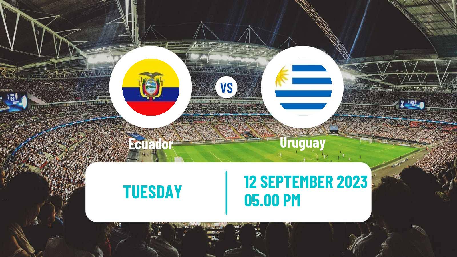 Soccer FIFA World Cup Ecuador - Uruguay
