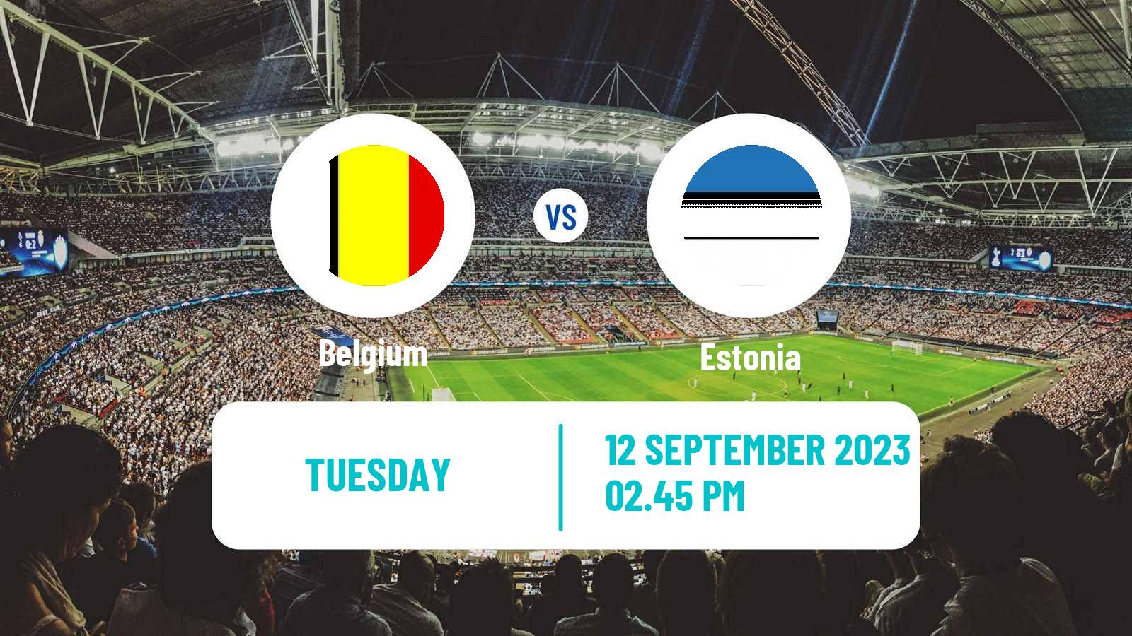 Soccer UEFA Euro Belgium - Estonia