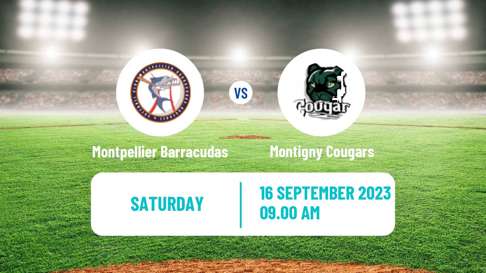 Baseball French Division 1 Baseball Montpellier Barracudas - Montigny Cougars
