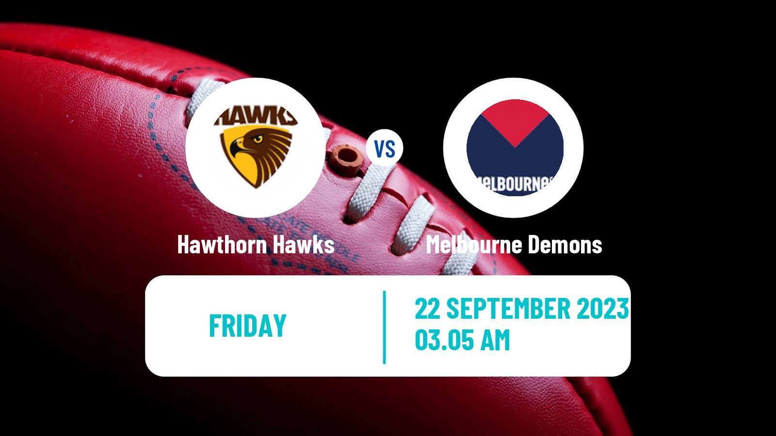 Aussie rules AFL Women Hawthorn Hawks - Melbourne Demons