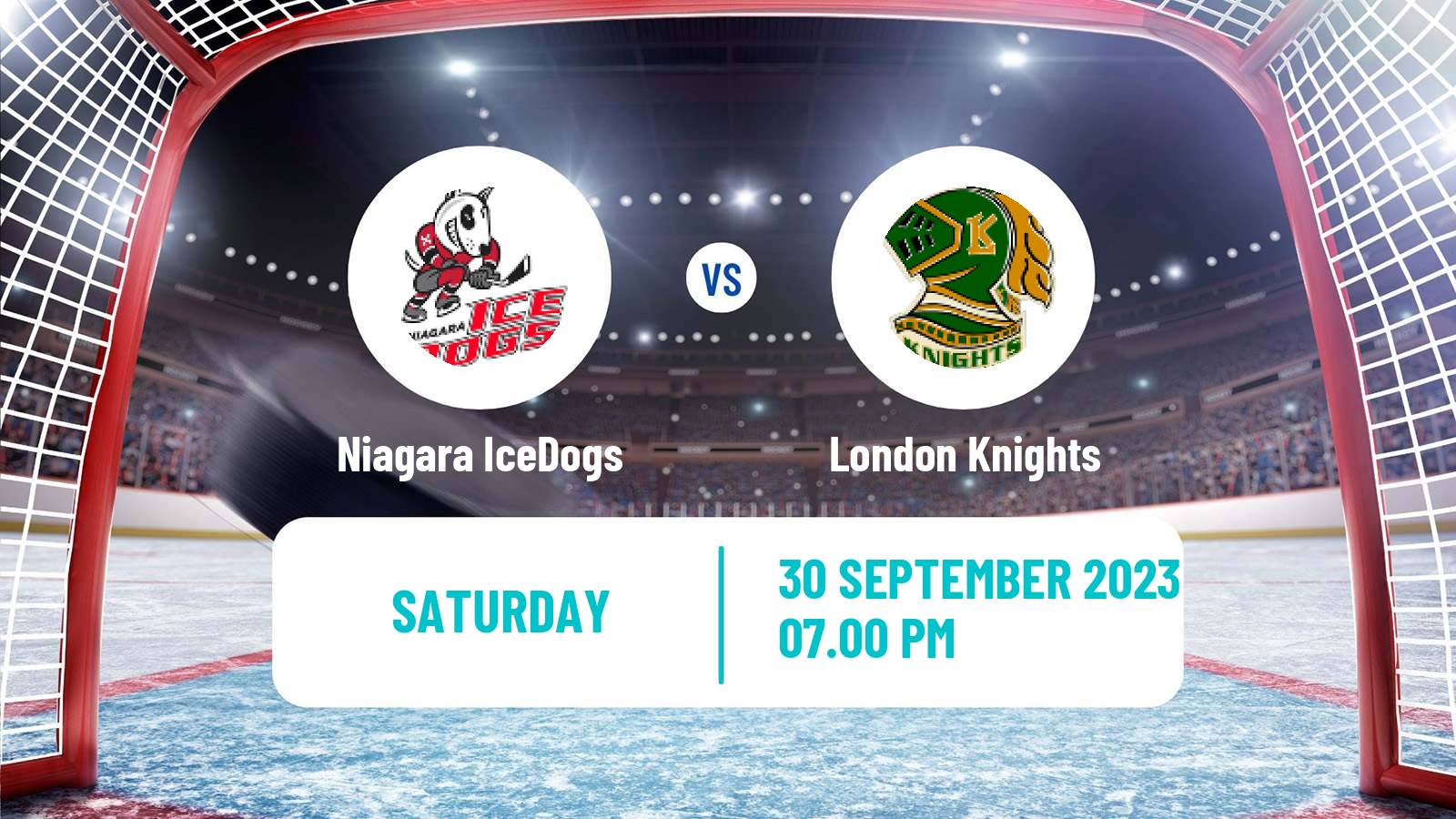 Hockey OHL Niagara IceDogs - London Knights